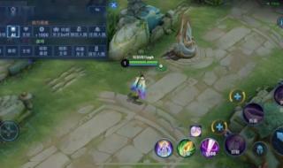 仙女龙出装 仙女龙出装